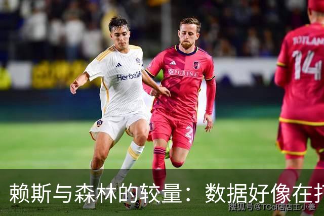 赖斯与森林的较量：数据好像在打瞌睡