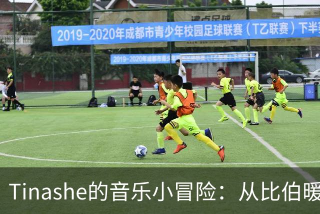 Tinashe的音乐小冒险：从比伯暖场到流行明星的道路